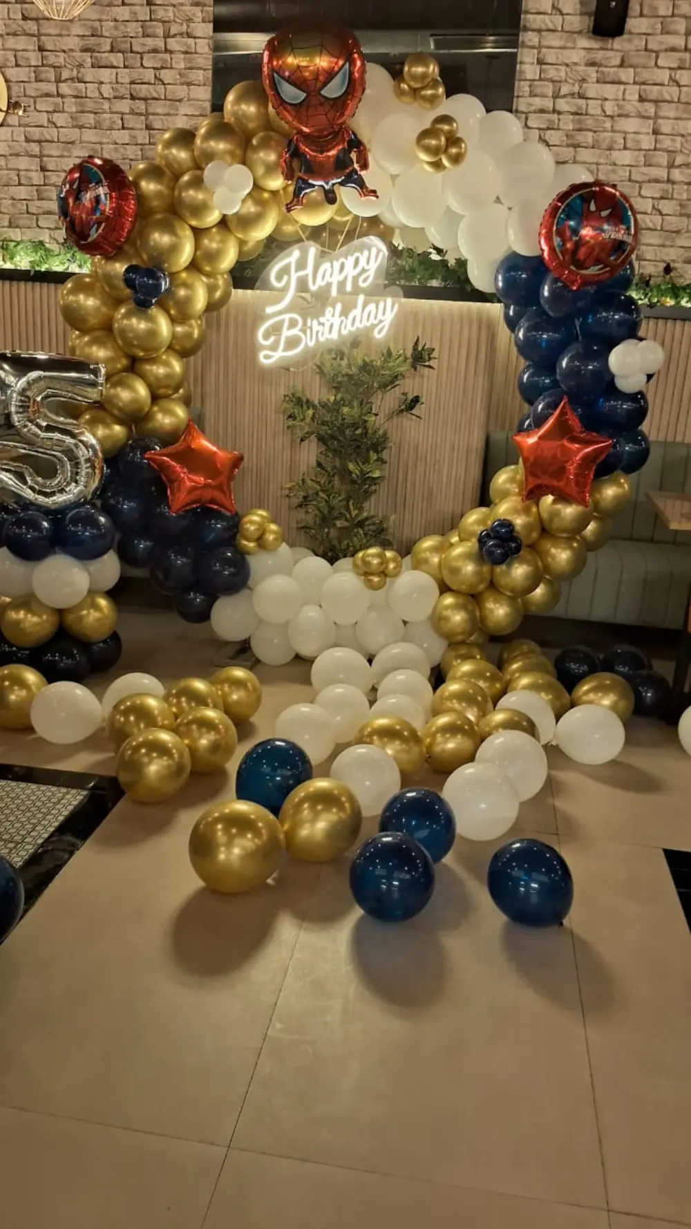 Birthday Party Organizer